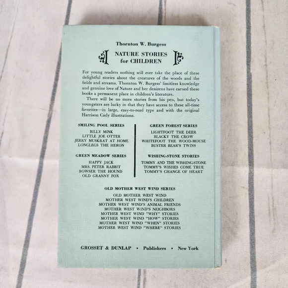 Vintage 1920s Hardcover Storybook Tommy and the Wishing Stone Illustrated - Picture 3 of 15